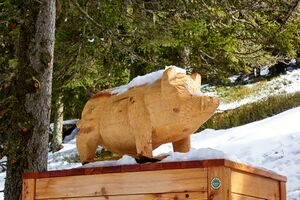 Waldwegerl planai-0067-2023-05-19.jpg