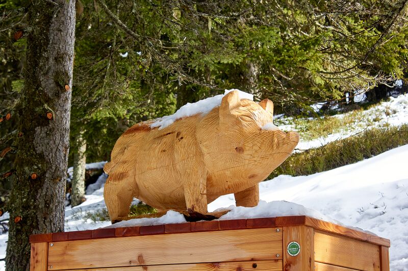 Datei:Waldwegerl planai-0067-2023-05-19.jpg