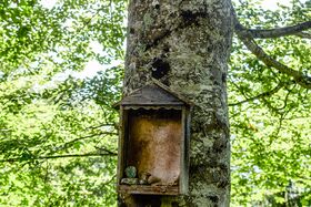 BST Sulzbachalm Palfau-0589-2025-06-24.jpg