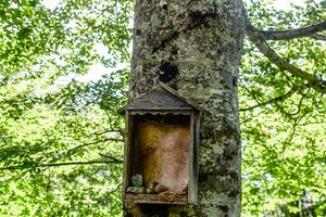 BST Sulzbachalm Palfau-0589-2025-06-24.jpg