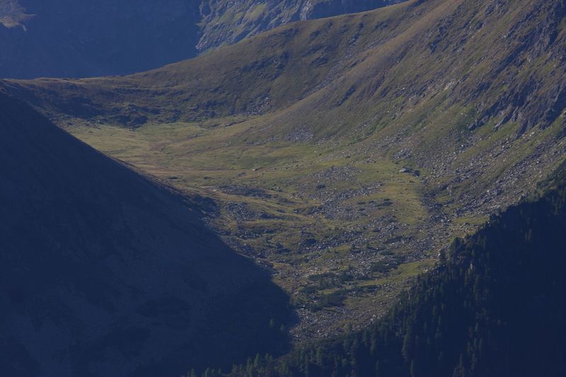 Datei:Dürrmoos großsölk 33115 2016-08-26.jpg