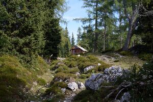 Handleralm Straßen-BA-0101-2023-09-17.jpg