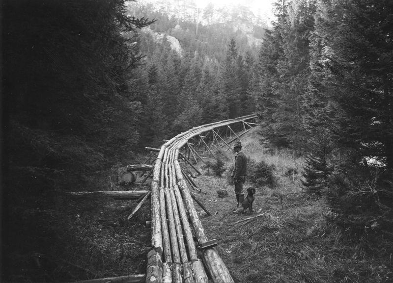 Datei:Holzrückung mittels Holzriese.JPG