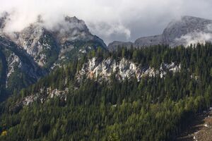 Kalcherwand ramsau 05869 2015-10-09.jpg
