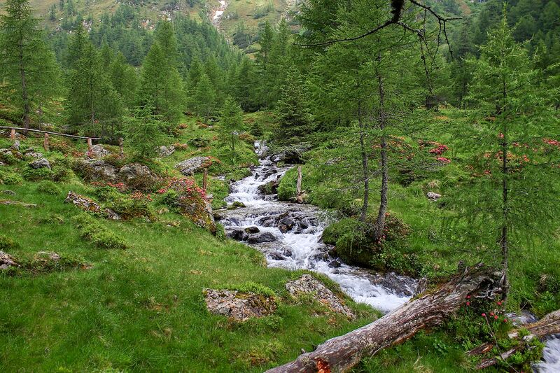 Datei:Katschbach-katschtal 92307 2015-06-18.jpg