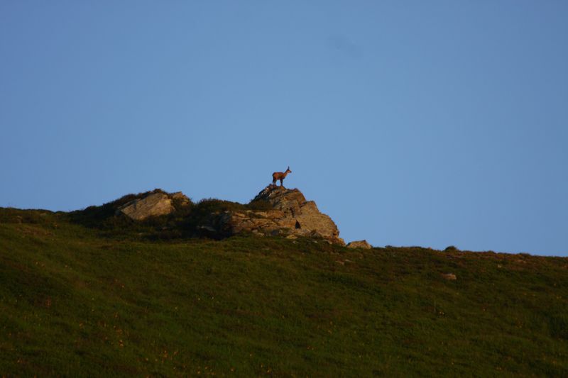 Datei:Kreuzberg 1023 13-08-06.jpg