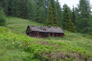 Madelsgrubenalm-großsölk 97542 2015-07-09.jpg