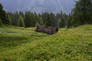 Madelsgrubenalm-großsölk 97557 2015-07-09.jpg