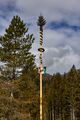 Maibaum Oberlengdorf-0106-2023-05-13.jpg