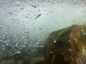 Obertalbach 97903 2045-07-06.jpg