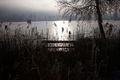 Putterersee - winter 17069 2013-12-23.jpg