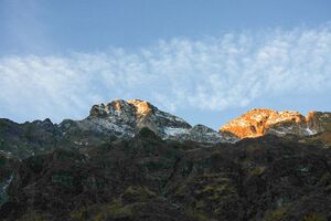 Ruländer gamsspitze 35297 2016-11-01.jpg