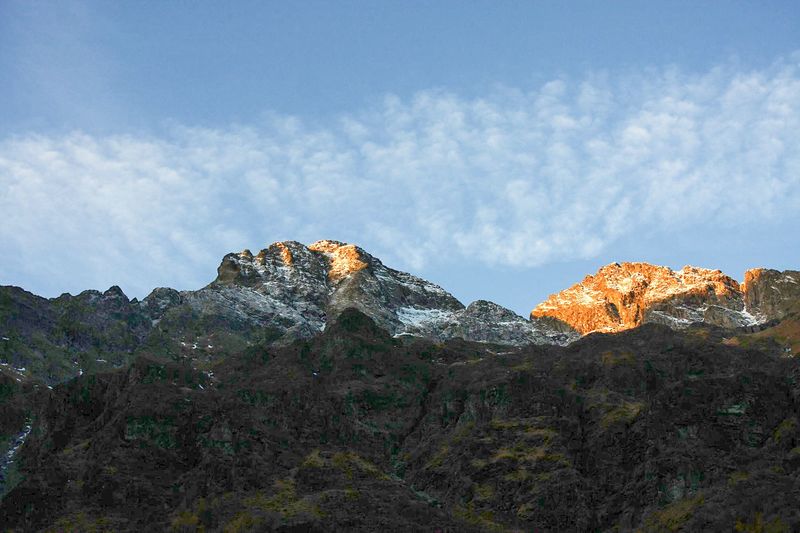 Datei:Ruländer gamsspitze 35297 2016-11-01.jpg