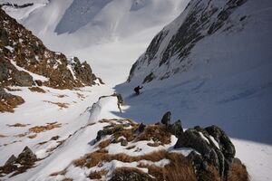 Schnabelkar 5563 2012-03-20.jpg