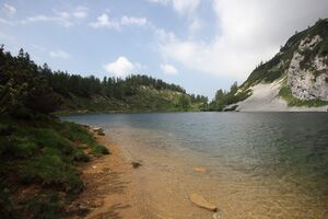 Schwarzensee tot-geb 51374 2017-06-24.jpg