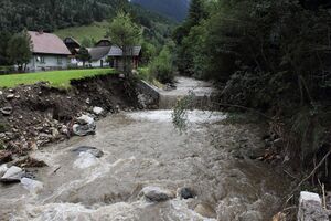 Seifriedbach mössna 55449 2017-08-13.jpg