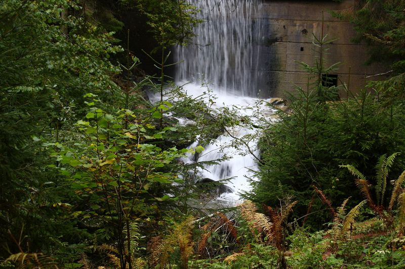 Datei:Teufelsschlucht Seewigtal 73351 2014-10-02.jpg