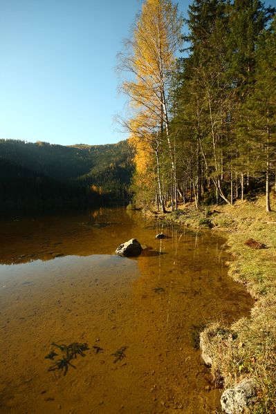 Datei:Ödensee 77942 2014-11-03.jpg