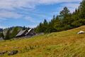 Bärenfeichtenalm-3211-2021-08-03.jpg