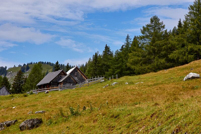 Datei:Bärenfeichtenalm-3211-2021-08-03.jpg