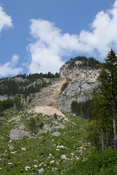 Datei:Felssturz pürgg-0192-2023-05-27.jpg