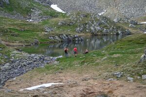 Hüttkarseen im Hüttkar 39311 2012-06-29.jpg