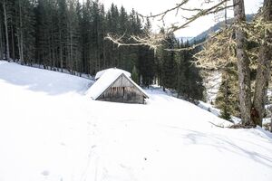 Mühlebneralm ramsau 67594 2018-03-05.jpg