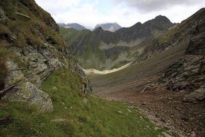 Neualmkar graunock 57433 2017-08-22.jpg