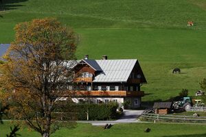 Rausch ramsau 05861 2015-10-09.jpg