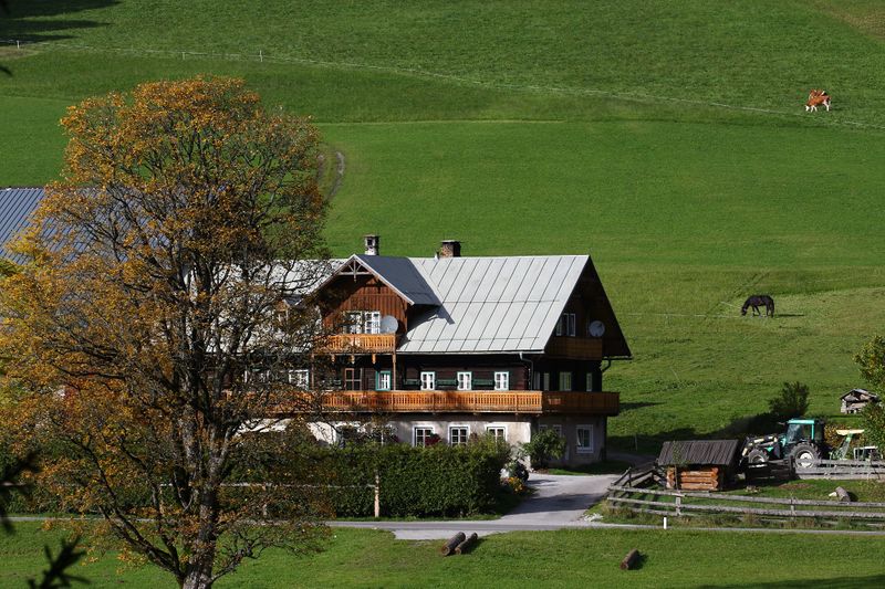 Datei:Rausch ramsau 05861 2015-10-09.jpg