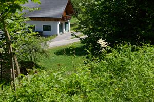Schneiberweg 2 wolfsbachau-0652-2025-06-18.jpg