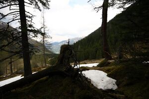 Strickerkar 55743 2014-05-02.jpg