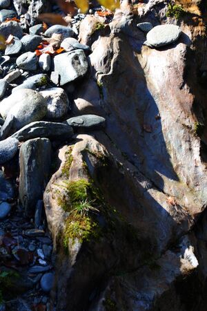Talbachklamm 7796 2008-10-21.jpg