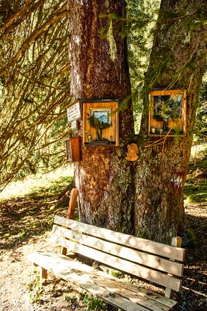 Totes gebirge-1150-2020-11-06.jpg