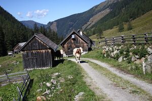 Tuchmoaralm 0233 13-09-05.jpg
