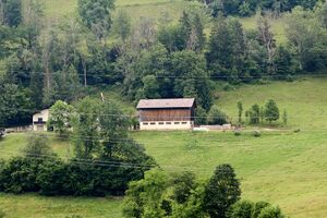 Vlg. oberzelzer döllach-0277-2023-06-19.jpg