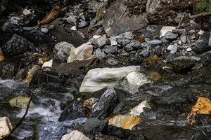 Walchenbach 99832 2015-06-07.jpg