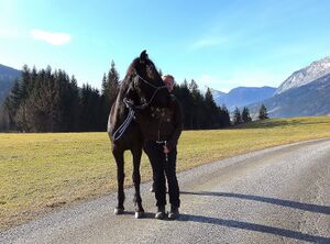 Bleiberg09 pferd.JPG