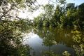 Höferteich 58924 2014-05-26.jpg