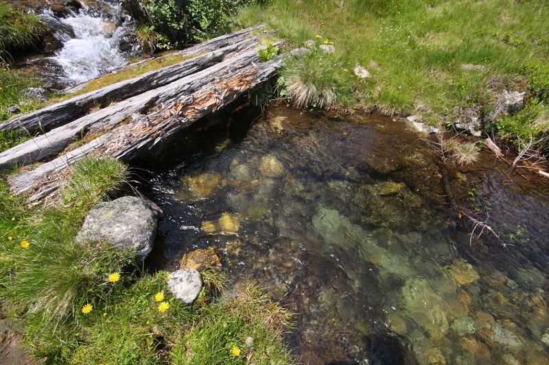 Datei:Herzmaierkar 32608 2011-07-06.jpg