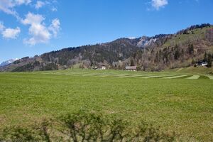 Kunagrün-0150-2021-04-23 09.51.31.jpg