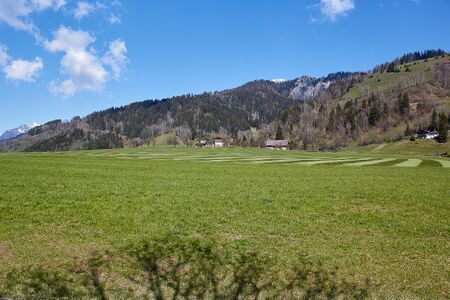 Kunagrün-0150-2021-04-23 09.51.31.jpg