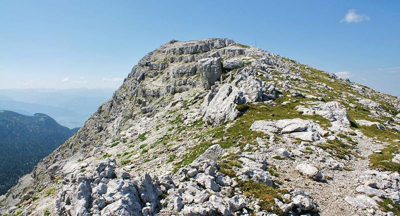 Datei:Leo- Liezener01.jpg