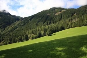 Obertal 923 13-09-11.jpg