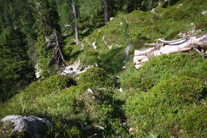Prechtelsboden- kemetgebirge 96957 2015-07-16.jpg