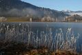Putterersee - winter 17140 2013-12-23.jpg