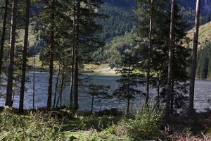 Schwarzensee kleinsölk 72512 2014-09-17.jpg