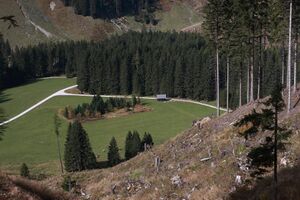 Schwarzenseealmen kleinsölk 74429 2014-10-07.jpg