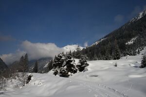 Steinriesental 59729 2013-02-22.jpg