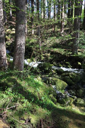 Strummern mühlreith 47256 2017-05-17.jpg